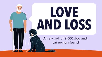 A third of Americans would choose their pet over their house