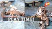WATCH: Tiger Cubs’ Play Time With Mother Tigress