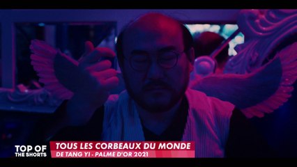 Teaser TOUS LES CORBEAUX DU MONDE de Yi Tang (Palme d'or Cannes 2021) dans TOP OF THE SHORTS