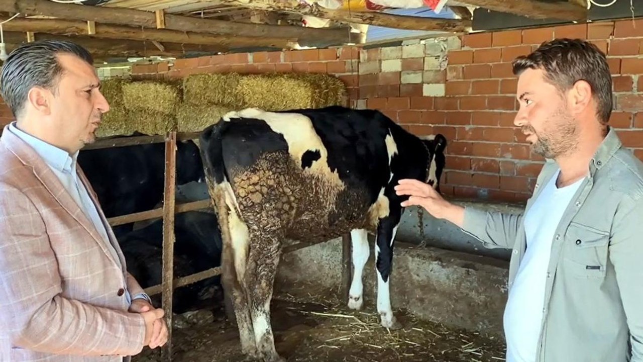"Süt tozu ithal edip onunla yoğurt yapsınlar"