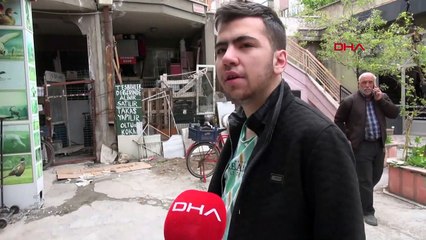 İş hanını fareler bastı