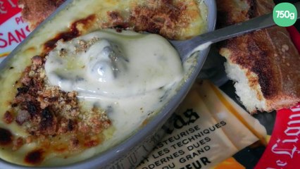 Escargots au Maroilles et à la crème d'ail