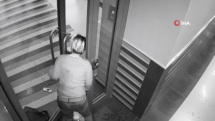 Pitbull cinsi köpek 4 kişiye saldırdı, köpeğin sahibi tutuklandı