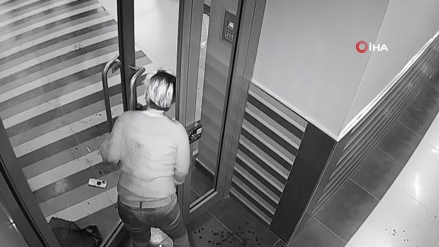 Pitbull cinsi köpek 4 kişiye saldırdı, köpeğin sahibi tutuklandı