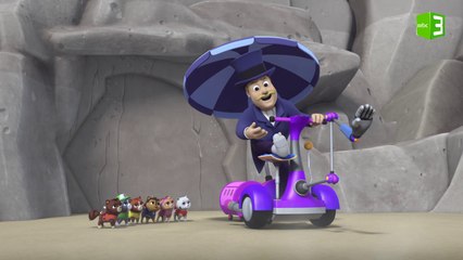 محرك العمدة هامدنجر الخارج عن السيطرة