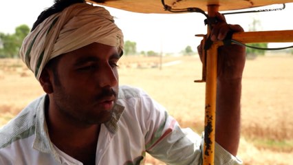 Weizenknappheit: Jetzt hilft Indien