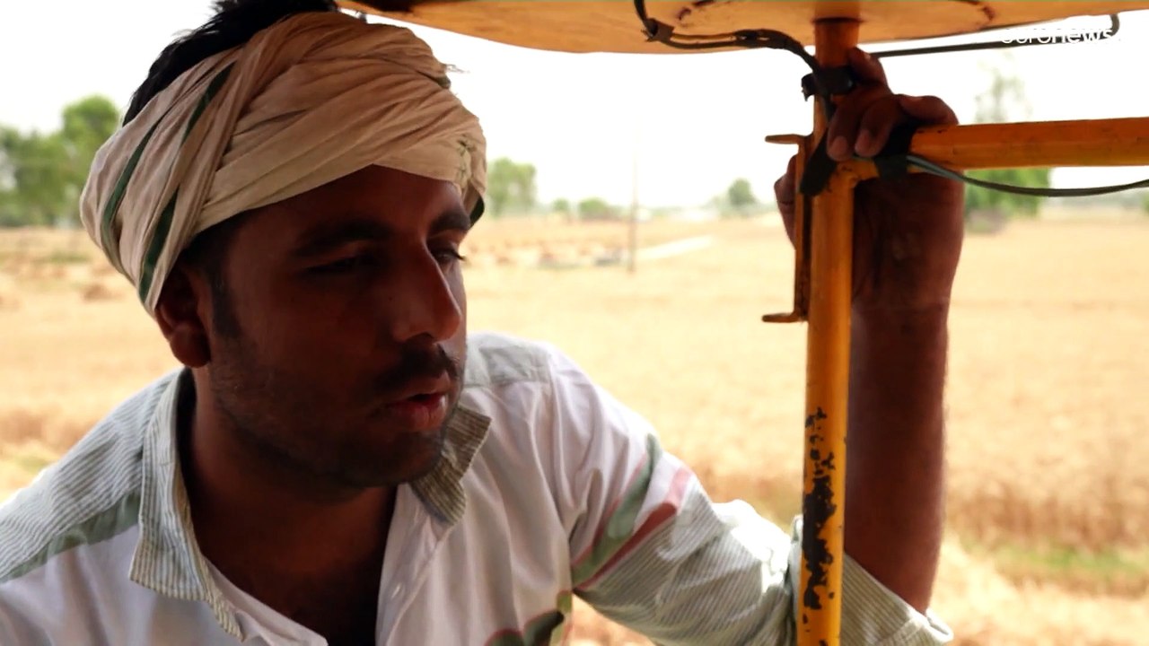 Weizenknappheit: Jetzt hilft Indien