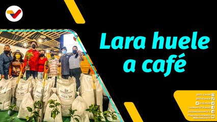 Al Aire |  Iribarren 7mo municipio mayor productor de café en Venezuela