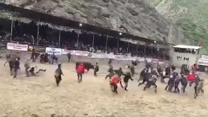 ŞAMPİYON BOĞA, ETRAFINDA HORON OYNAYANLARI KOVALADI