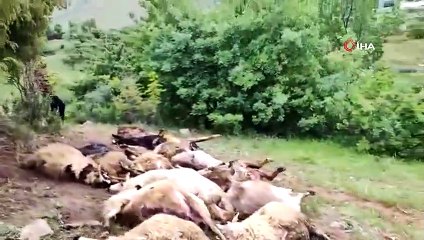 Diyarbakır'da neler oluyor: 53'ü birden aynı anda öldü