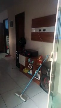 Família sai para comemorar Dia da Mães e tem casas invadidas