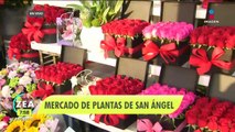Arrancó la venta de flores por el Día de las Madres