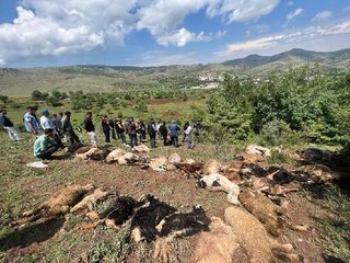 Tải video: Son dakika... MERADA OTLAYAN SÜRÜNÜN ÜZERİNE YILDIRIM DÜŞTÜ; 53 KÜÇÜKBAŞ HAYVAN ÖLDÜMERADA OTLAYAN SÜRÜNÜN ÜZERİNE YILDIRIM DÜŞTÜ; 53 KÜÇÜKBAŞ HAYVAN ÖLDÜ