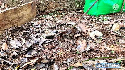 how to make a raised garden bed