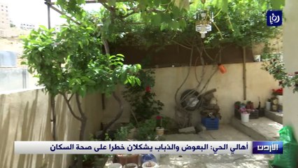 أهالي حي أم نوارة: البعوض والذباب يشكلان خطرا على صحة السكان