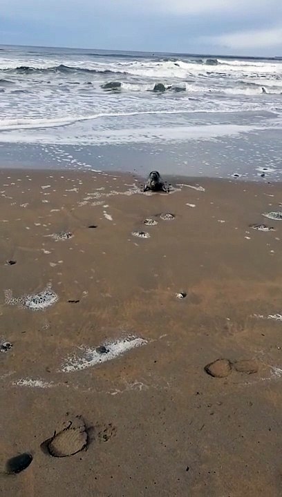 Aussitôt arrivé, aussitôt reparti