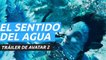 Primer tráiler de Avatar: El sentido del agua, la esperada secuela de James Cameron