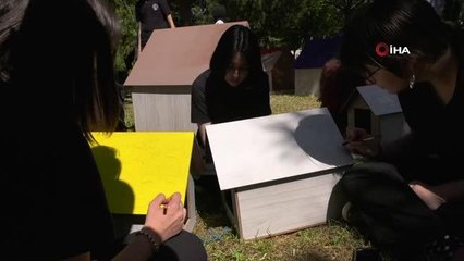 Gönüllü gençler sokak hayvanlarını unutmadı