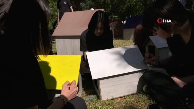 Gönüllü gençler sokak hayvanlarını unutmadı