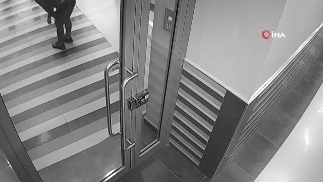 Son dakika... Pitbull cinsi köpek 4 kişiye saldırdı, köpeğin sahibi tutuklandı