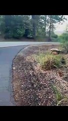 Mom Comes Home to Live With Daughter