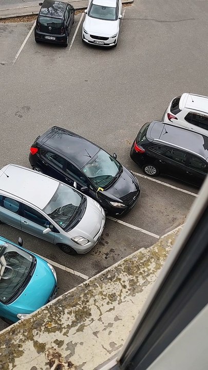 Driver Makes Several Attempts to Escape Parking Spot