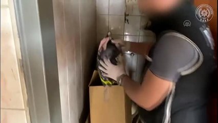 Başkentte kaçakçılık operasyonlarında 10 zanlı yakalandı