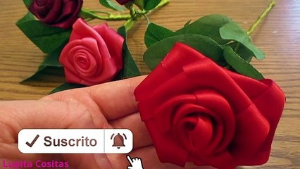 Rosa de liston para el Dia de las Madres