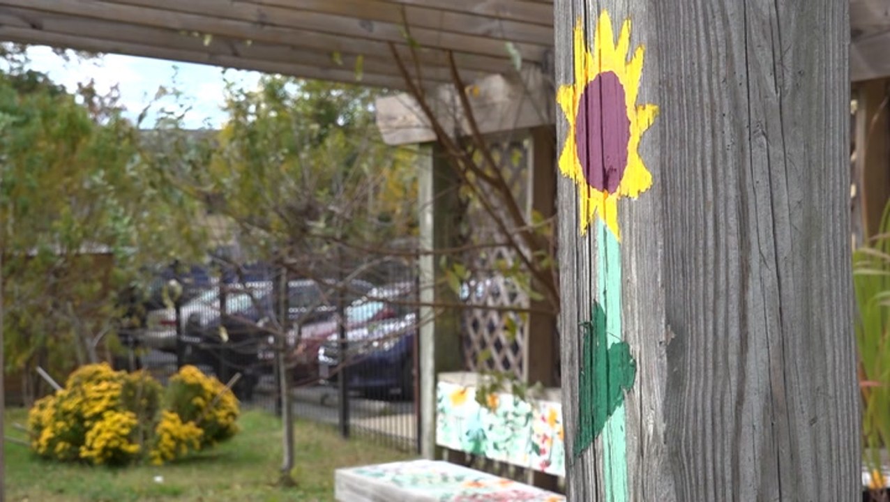 Invasive plants threaten to choke out your garden