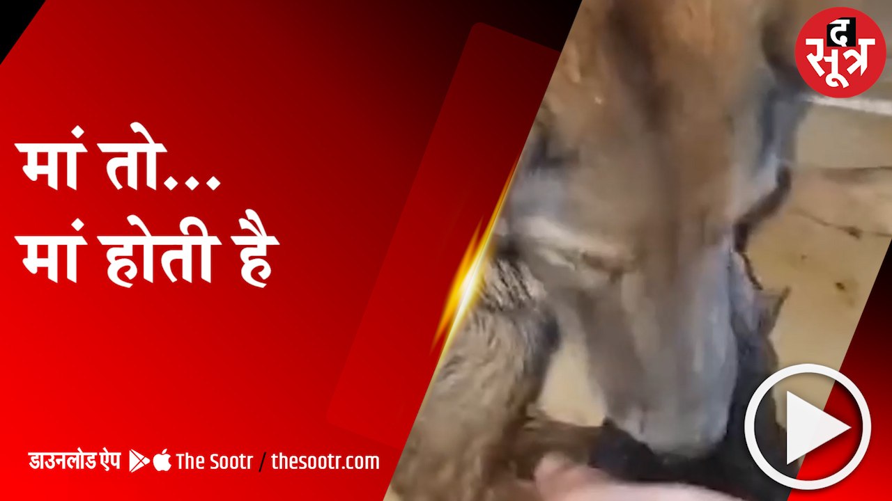 maa viral video