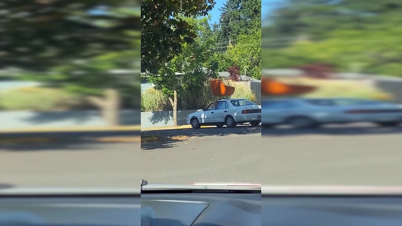 Le Zap DES IDIOTS AU VOLANT n°20