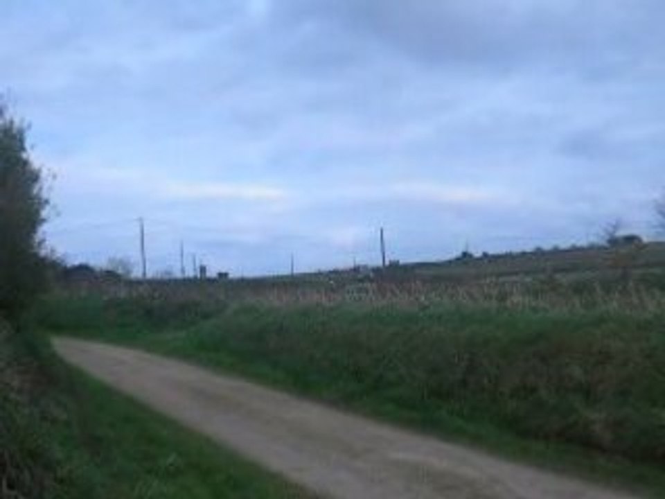 DSCN2805