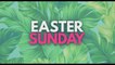 EASTER SUNDAY (2022) Trailer VO - HD