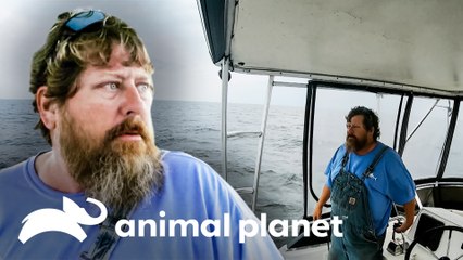 Time Bandit tem poucas horas para ajudar o Cornelia Marie | Pesca Mortal | Animal Planet Brasil