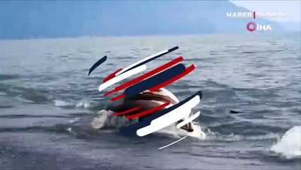 Hatay'ın Samandağ ilçesinde sahile vuran ölü inek, görenleri şaşırttı