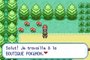 Pokémon Version Vert Feuille online multiplayer - gba
