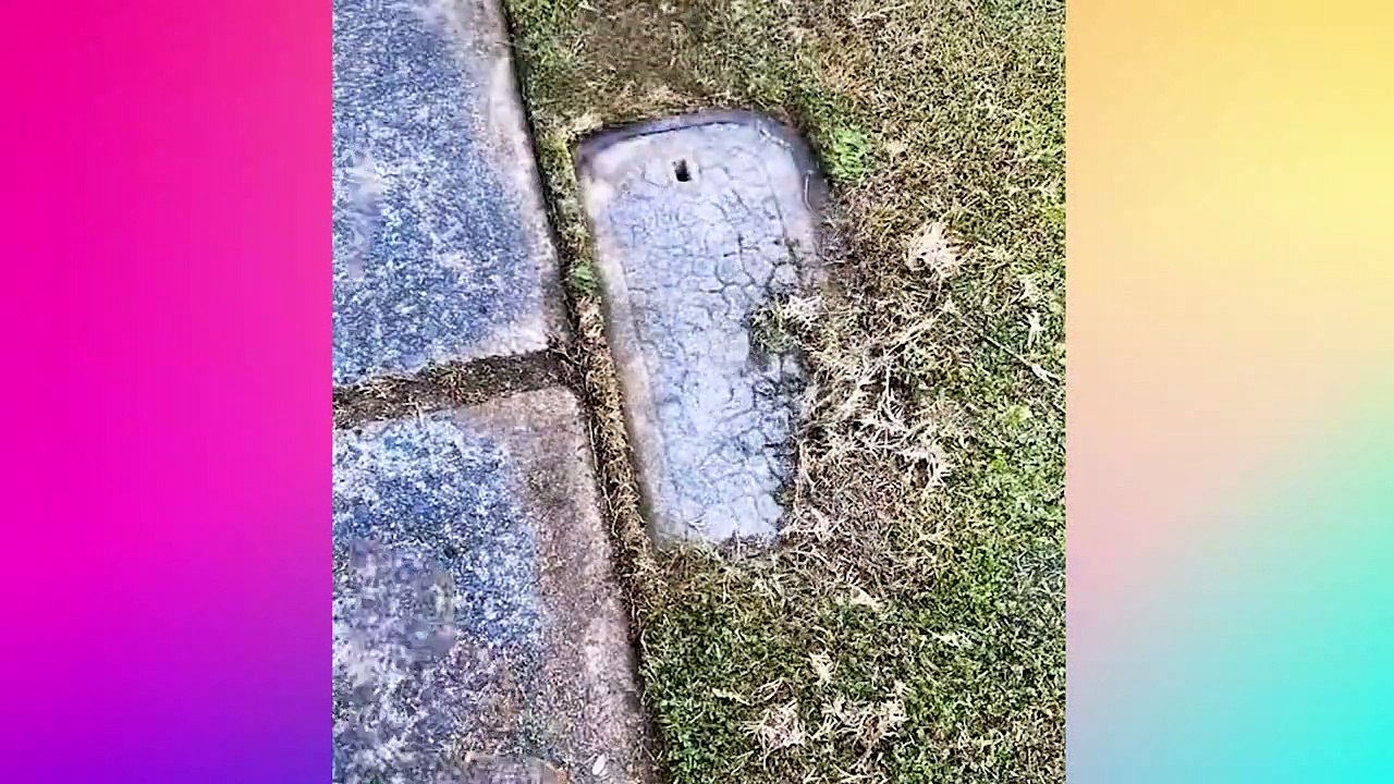 Oddly Satisfying Video Made for Your Ultimate Relaxation, Calm & Sleep  Most Satisfying Videos