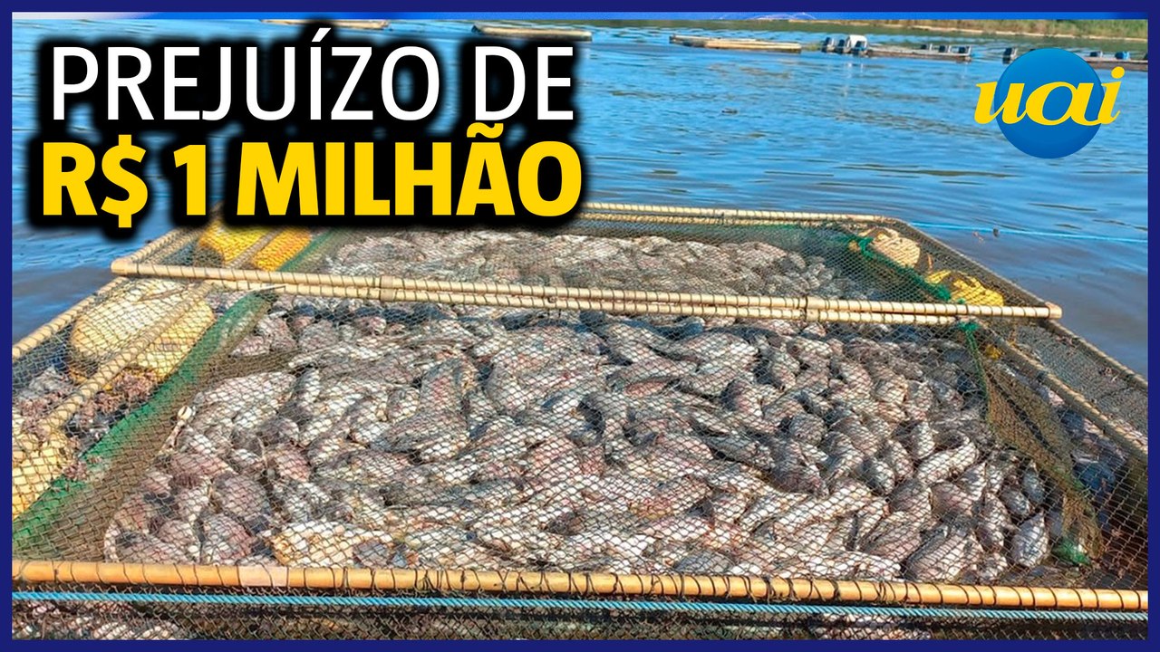 Polícia investiga mortandade de peixes no Lago...
