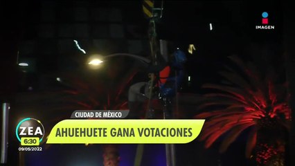 Un ahuehuete reemplazará a la palma en Reforma