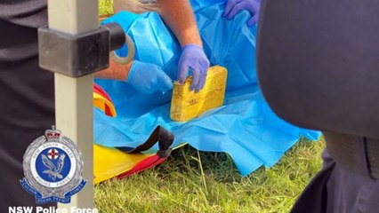 50kg of cocaine found near body of diver near Newcastle