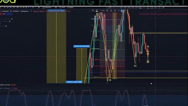 Elon Musk about Changes His Mind on BITCOIN! Bitcoin & Ethereum set to EXPLOED in 2025! Crypto News!