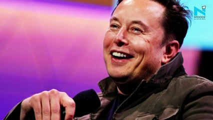 Elon Musk recalls Taj Mahal visit, says ‘truly a wonder of the World’