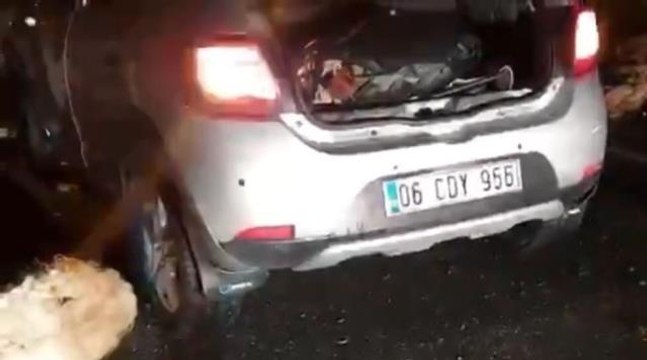 Otomobil koyun sürüsüne daldı: 50 koyun telef oldu