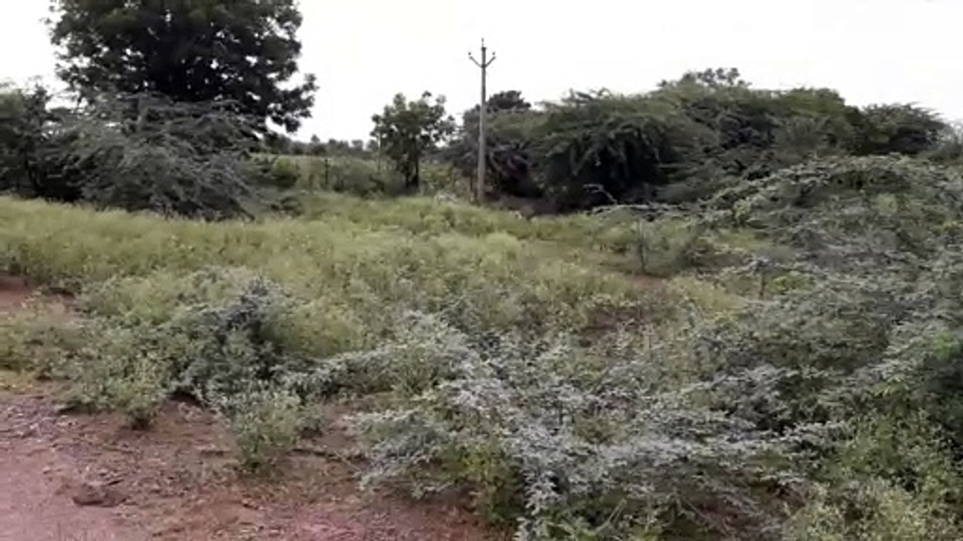 ⁣ढाई साल से जिलेवासी मेडिकल कॉलेज का कर रहे इंतजार...ये है बड़ी वजह