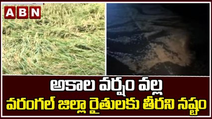 warangal : అకాల వర్షం వల్ల వరంగల్ జిల్లా రైతులకు   తీరని నష్టం || ABN Telugu