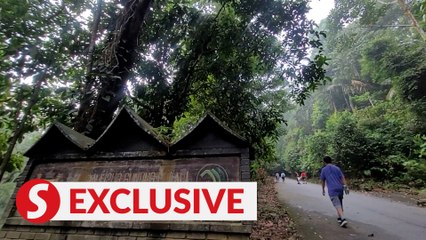 ‘Venturing in the wild is not a piece of cake’