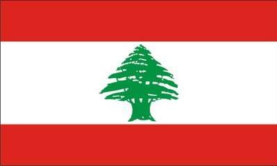 فيديو صادم .. شاب لبناني يطعن والدته أثناء أداها الصلاة
