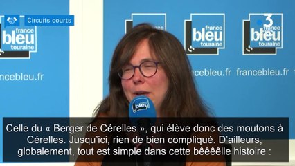 Circuits courts - le berger de Cerelles