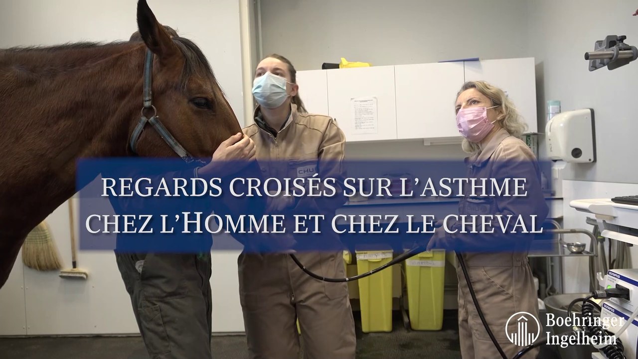 Regards croisés sur l'asthme chez l'Homme et chez le cheval