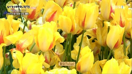 세계테마기행 - Themes Around the World_흑해의 별- 위대한 유산, 터키_#001